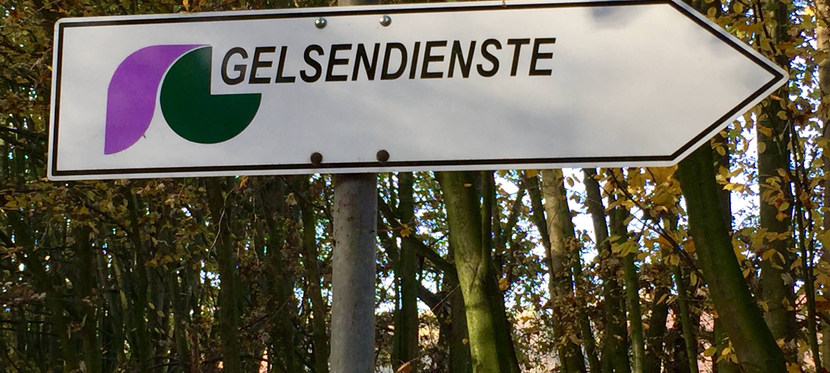 Gefahr für Verkehr: Bäume am Schloss Berge werden gefällt