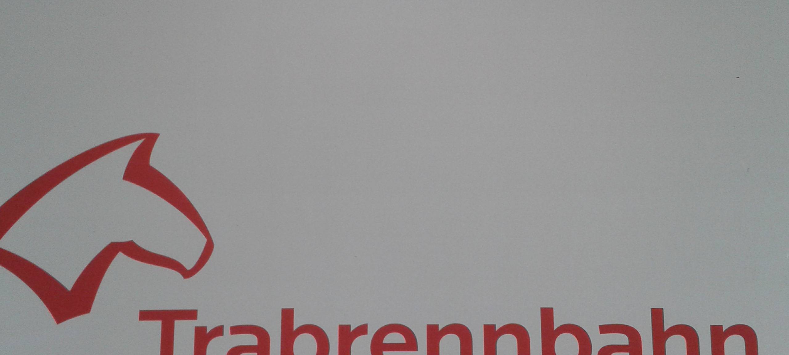 Mercedesfahrer dreht seine Runden auf der Trabrennbahn