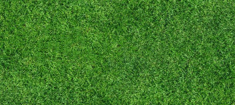 Förderprogramm zur Dach- und Fassadenbegrünung