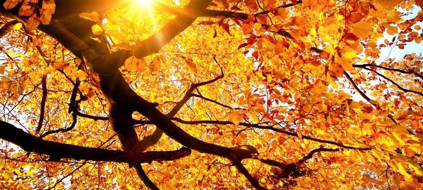 Der gute Morgen mit Lennart Hemme - Anti-Herbstblues (28.10.)