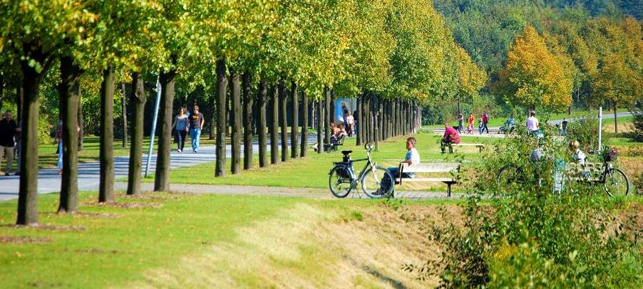 25 Jahre Nordsternpark: Jubiläumsprogramm steht