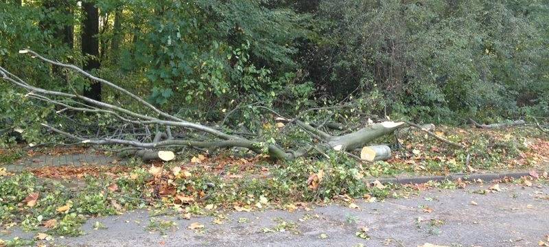 Stürmischer Sonntag in unseren drei Städten