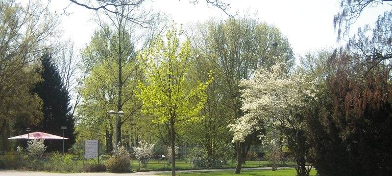 Neue Bänke und Beleuchtung für Revierparks