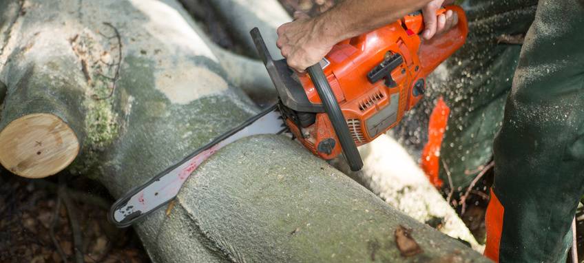 Naturschützende Maßnahmen in Bottrop