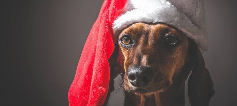 Wo ist die Weihnachtsstimmung?