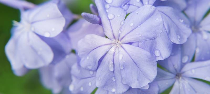 Viele trockene Tage im März