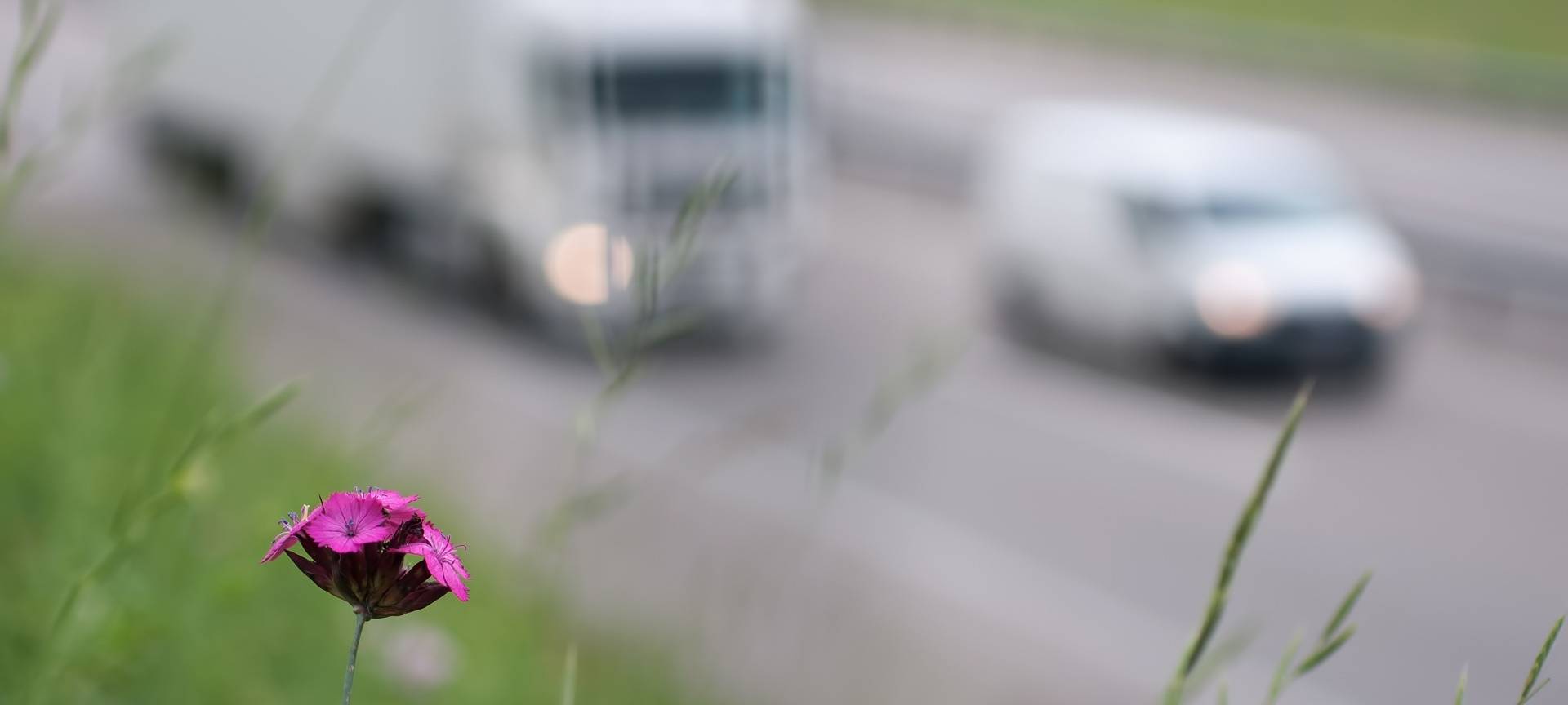 GLA | BOT | GE: Städte soll fit gemacht werden für den Klimawandel