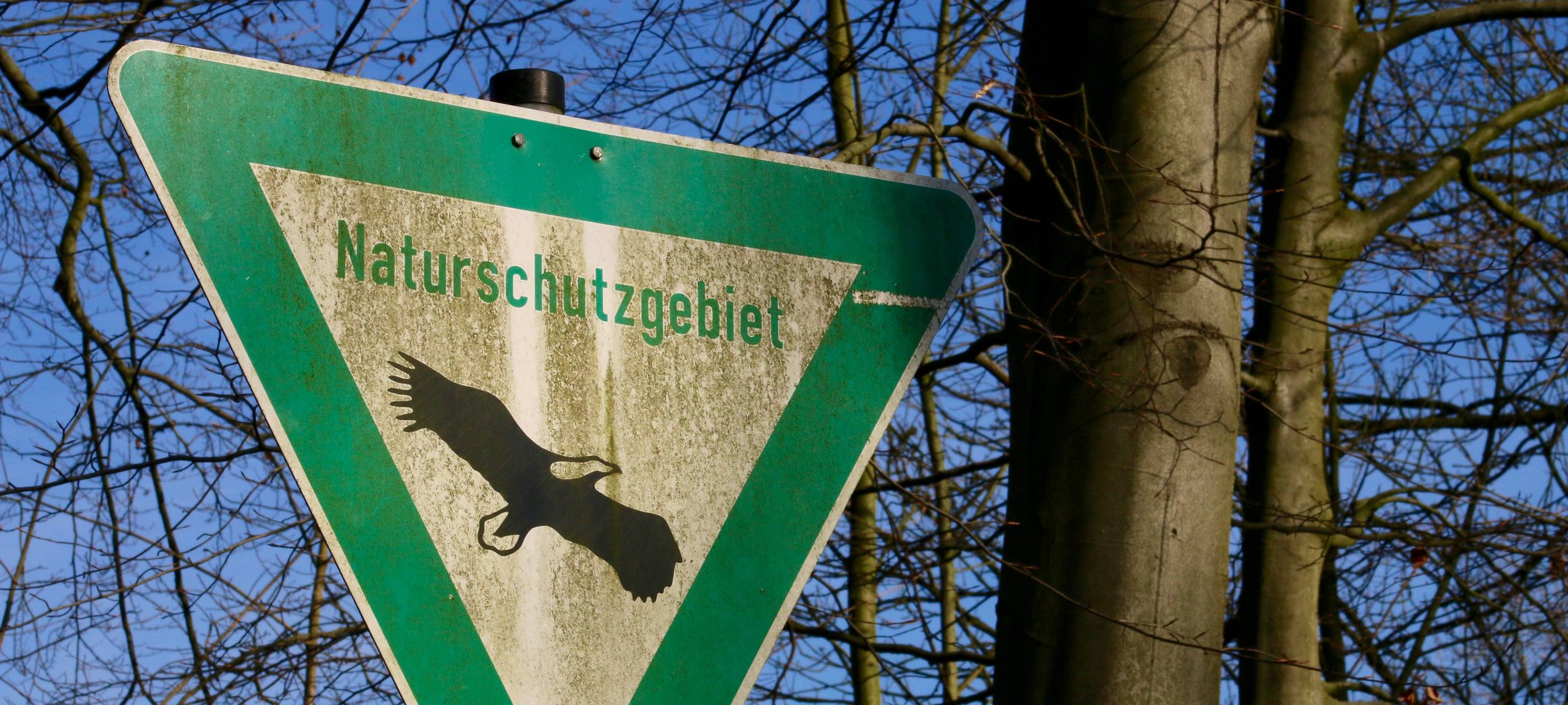 KOD-Aktionstag in Bottroper Naturschutzgebieten