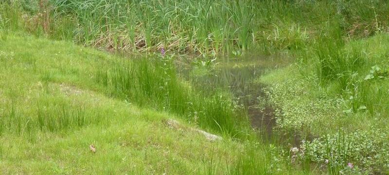 Städte bei uns profitieren vom Emscherumbau