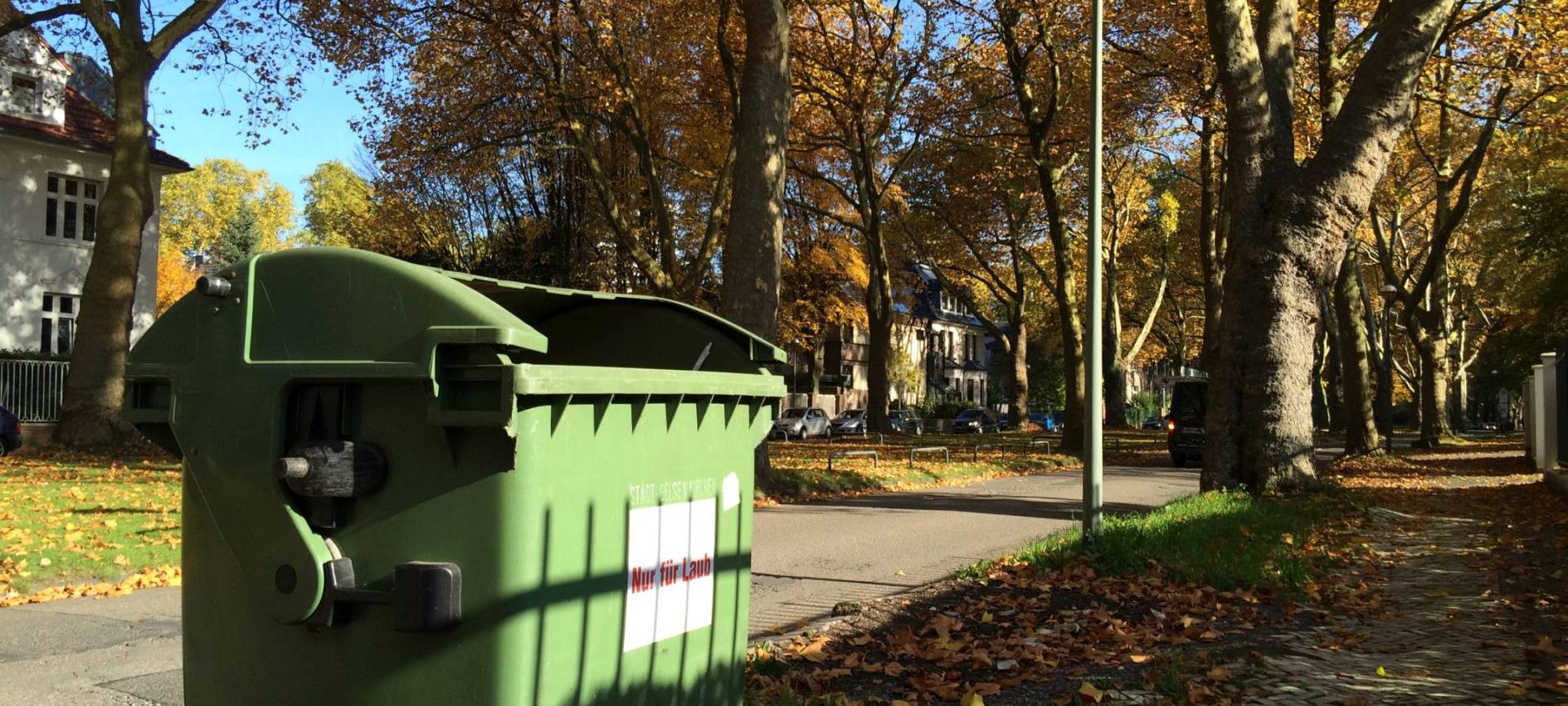 Laub - die rechtliche Seite