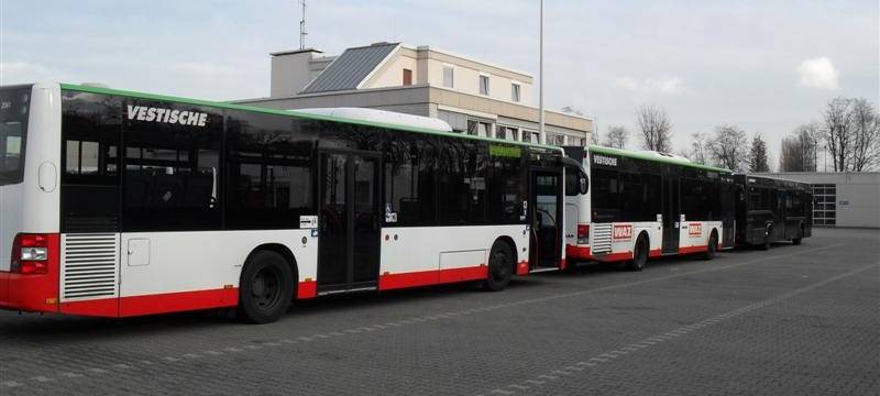 Busse der Vestischen