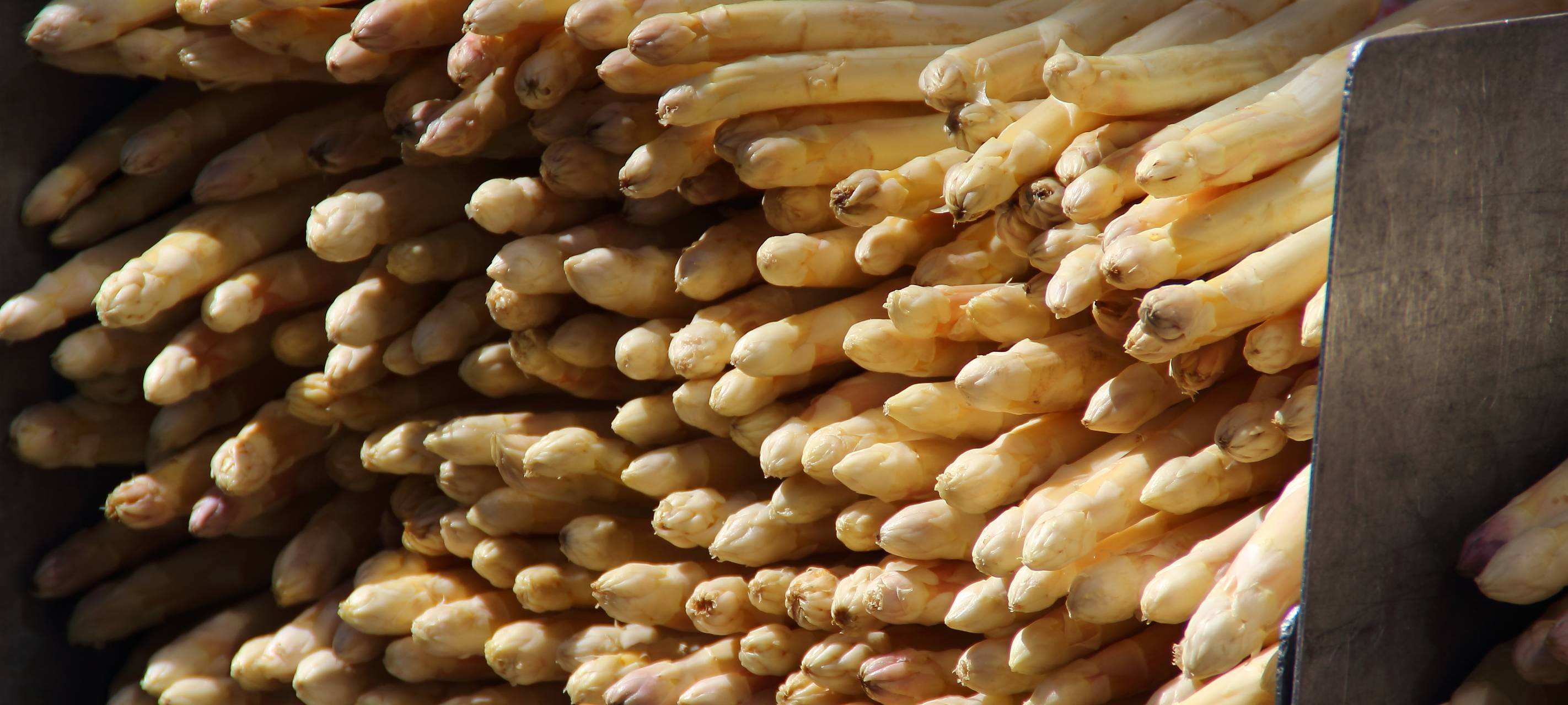 Die letzten Tage mit heimischem Spargel sind angebrochen