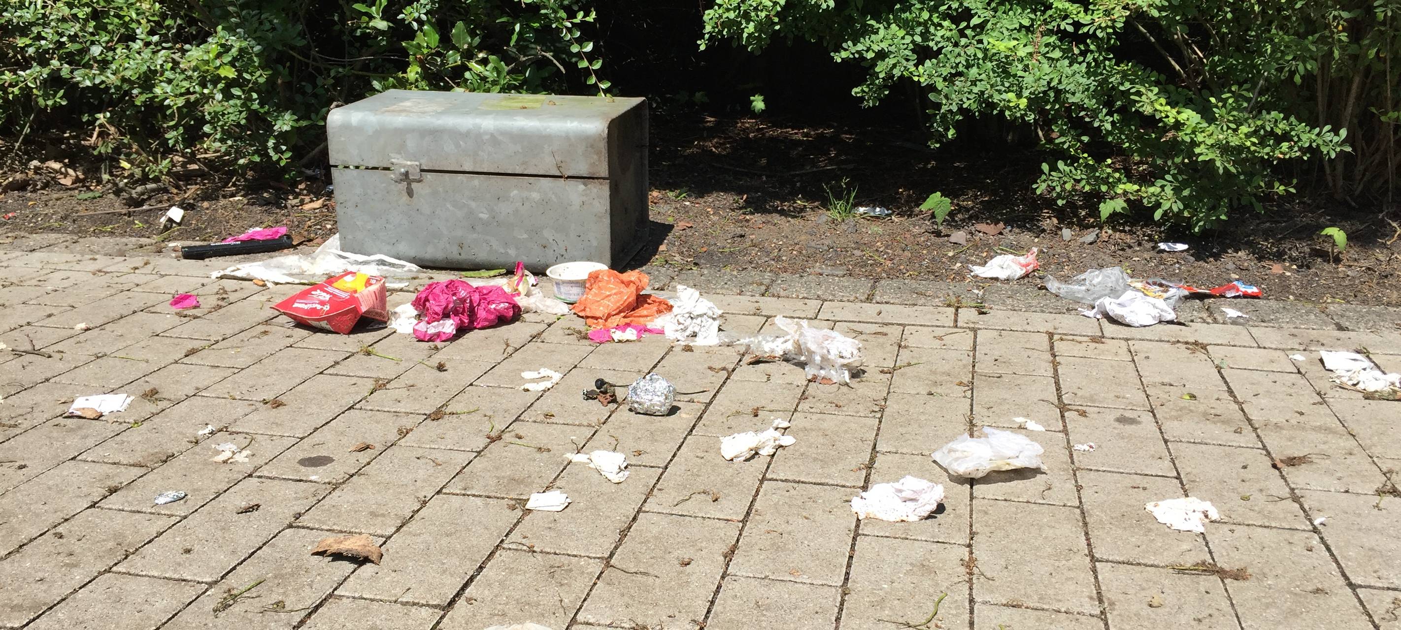 Am Nachmittag mit Timo Düngen - Quartier Service (2.10.)