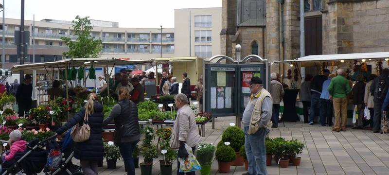 Zu wenige Händler auf unseren Feierabendmärkten