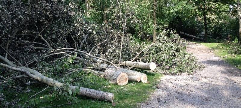 Nach den Stürmen: Lebensgefahr in Parks und Wäldern