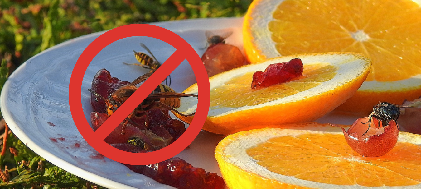 Was tun, wenn die Insekten nerven? Unsere Tipps