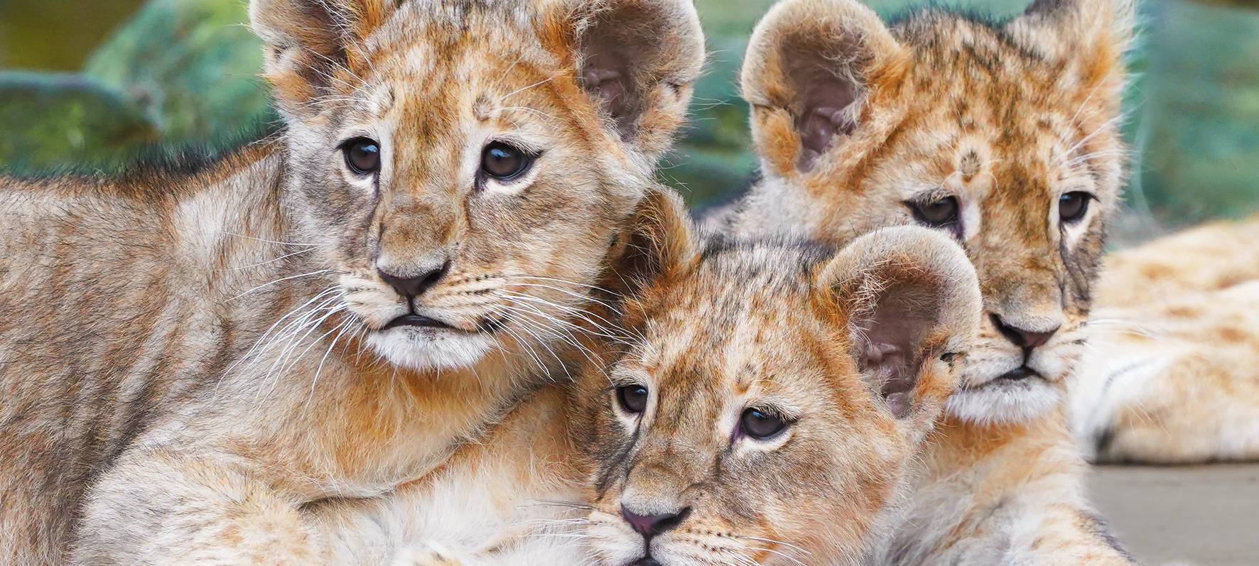 Ausflugstipps für die Osterferien