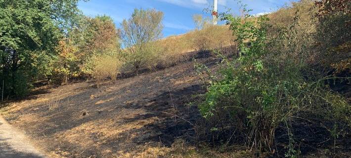 Mehrere Haldenbrände in Gladbeck