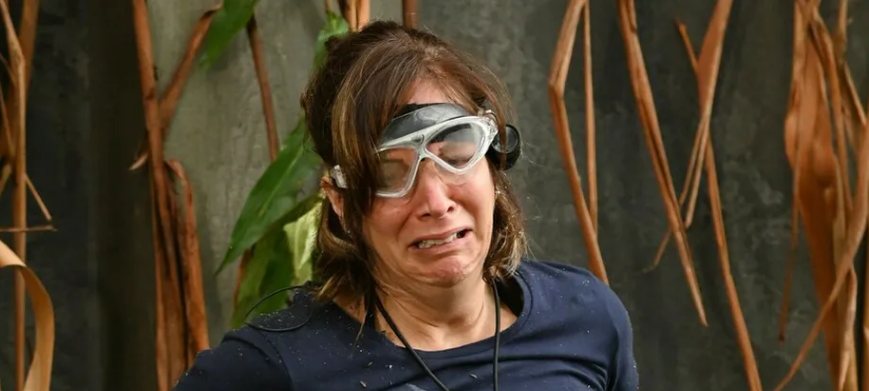 Bottroper Schlangenexperte - Schlangen im Dschungelcamp sind absolut harmlos