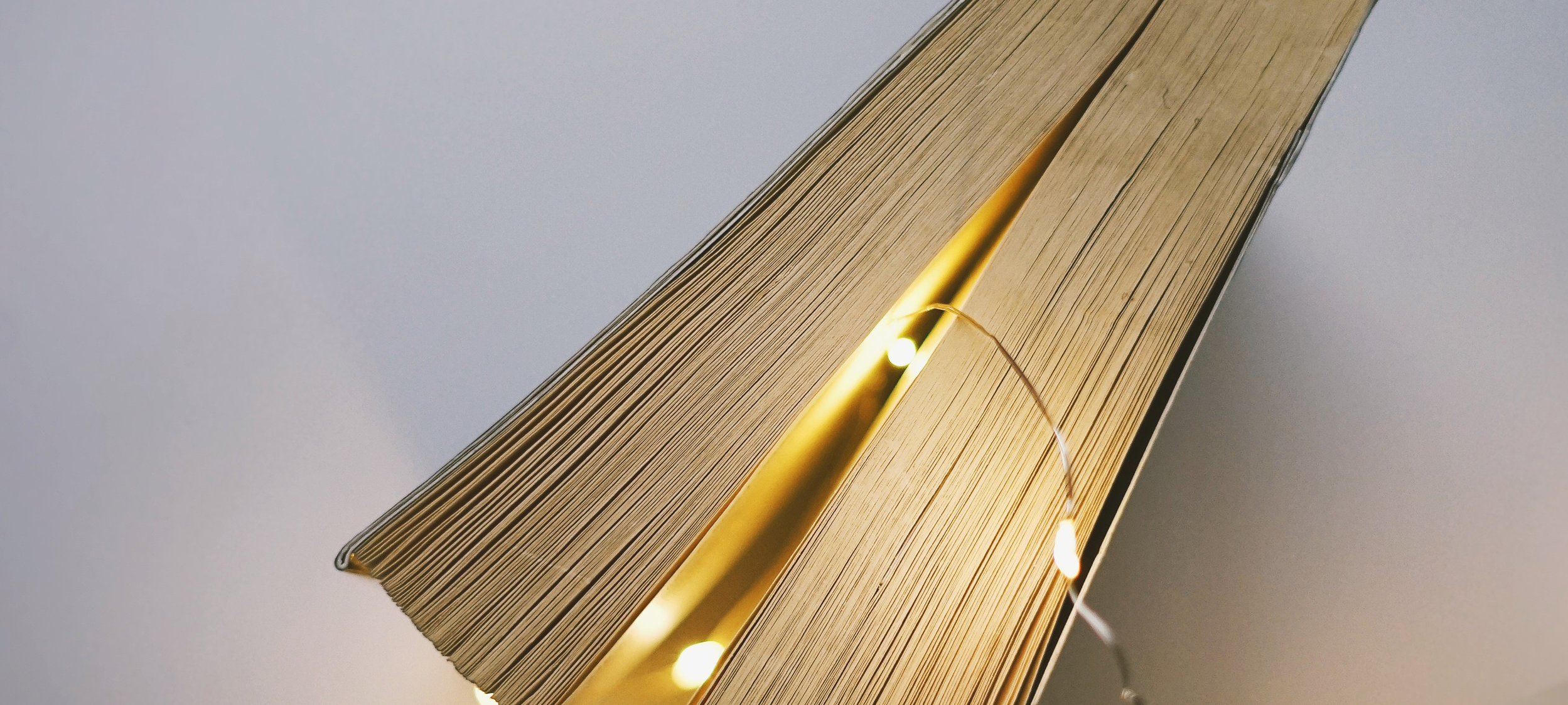 Weitere Buchtipps von Radio Emscher Lippe